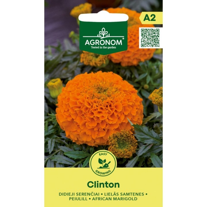 French Marigold, Clinton - Seeds
