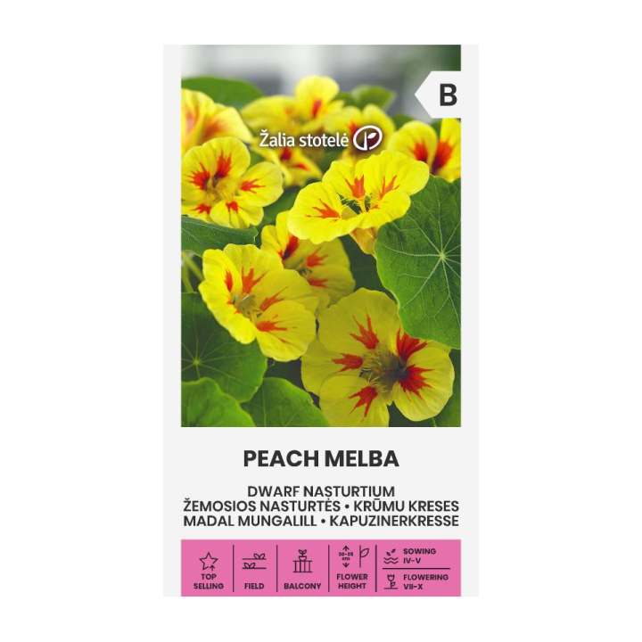 Nasturtium, Peach Melba - Seeds