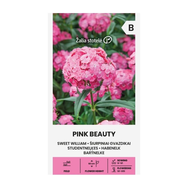 Sweet William, Pink beauty - Seeds