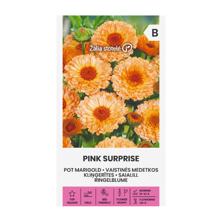 Pot Marigold, Pink surprise - Seeds