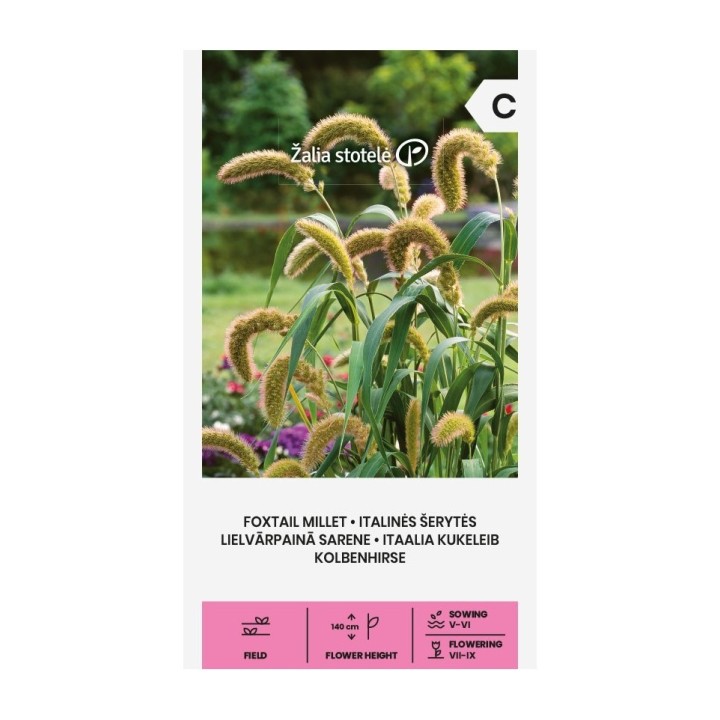 Foxtail Millet - Seeds