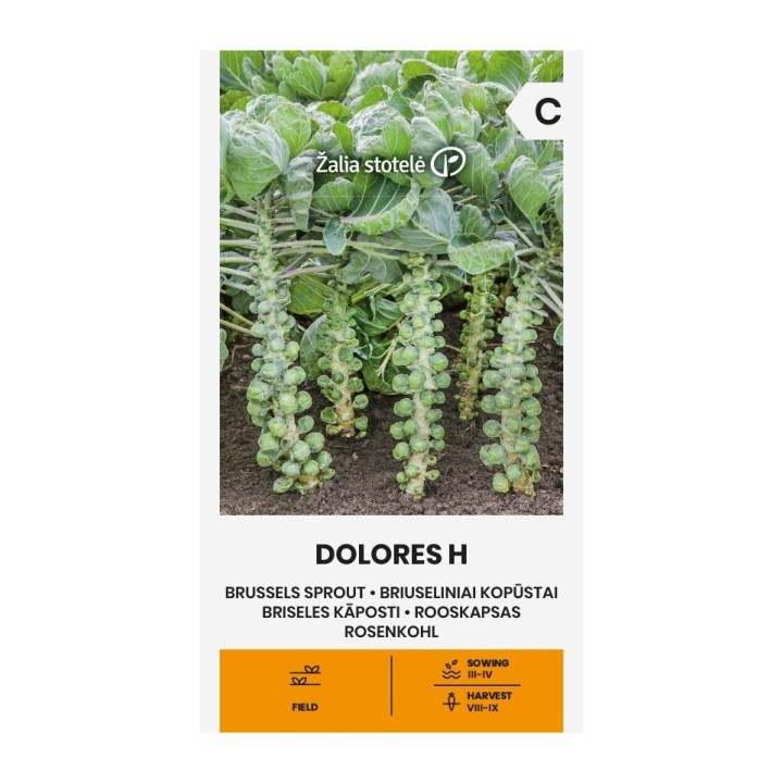 Brussels sprouts, Dolores H - Seeds