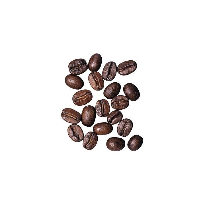 Café / Cafeto arábigo - Sobre 8 semillas