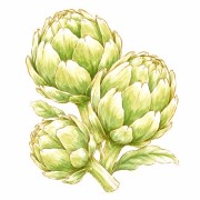 Artichokes