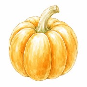 Pumpkins and cucurbitaceae