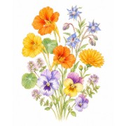 Edible flowers