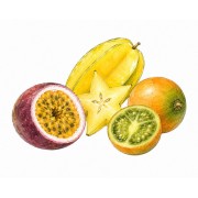 Tropical fruit