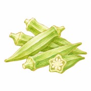 Okra