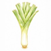 Leeks