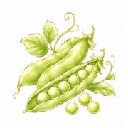 Peas