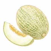 Melons