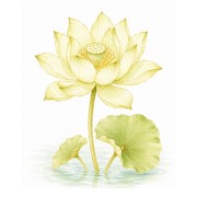 Aquatic plants