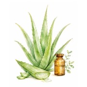 Medicinal plant seeds