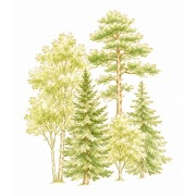 Trees