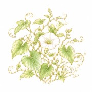 Vines / climbers