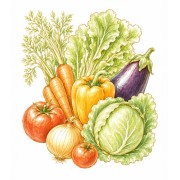 Vegetables