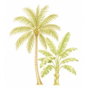 Palm trees and banana trees