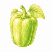 Peppers